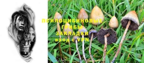 PSILOCYBIN Алзамай