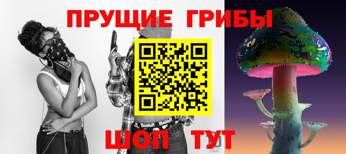 Черногорск  Псилоцибиновые грибы Psilocybe  Галлюциногенные грибы мухоморы  Вход с VPN 